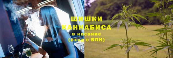 ПСИЛОЦИБИНОВЫЕ ГРИБЫ Новокубанск