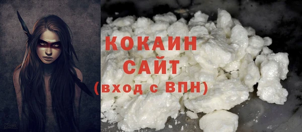 амф Новозыбков