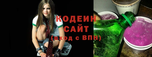 молекула духа Елабуга