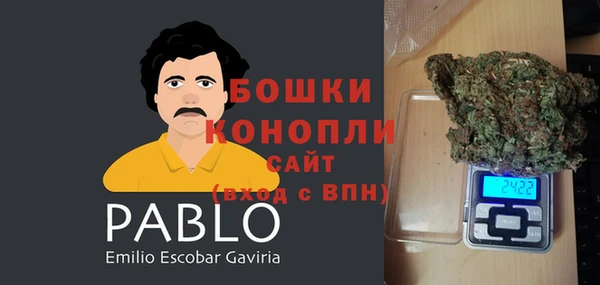ALPHA-PVP Няндома