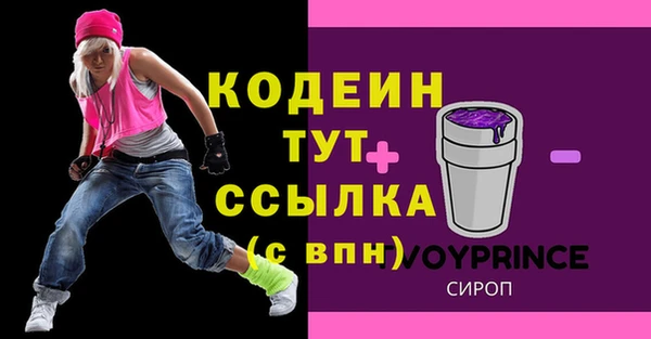 молекула духа Елабуга