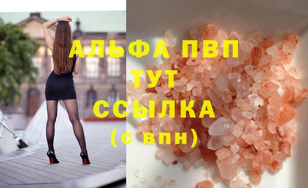амф Новозыбков