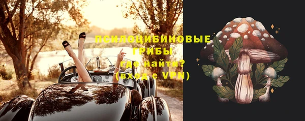 молекула духа Елабуга
