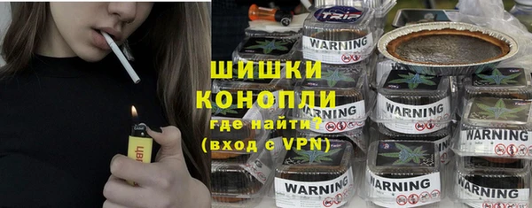 молекула духа Елабуга