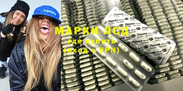 молекула духа Елабуга