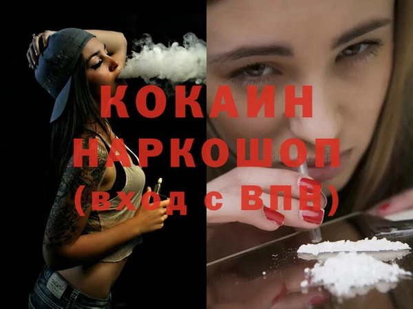 амф Новозыбков